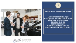 Responsabilité du vendeur professionnel