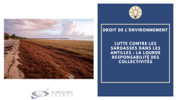 Lutte sargasses Antilles
